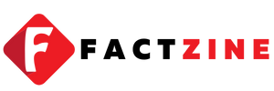 factzine
